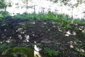  &copy;&nbsp;Фото пресс-службы Кавказского заповедника