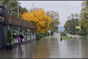  &copy;&nbsp;Скриншот из телеграм-канала Юрия Озаровского https://t.me/MoreOz/107522