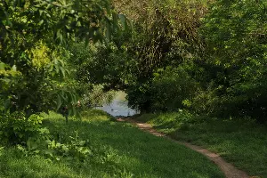Тропа к воде от автостоянки &copy;&nbsp;Фото Марины Солошко, Юга.ру