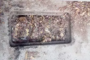  &copy;&nbsp;Фото пресс-службы администрации Краснодара