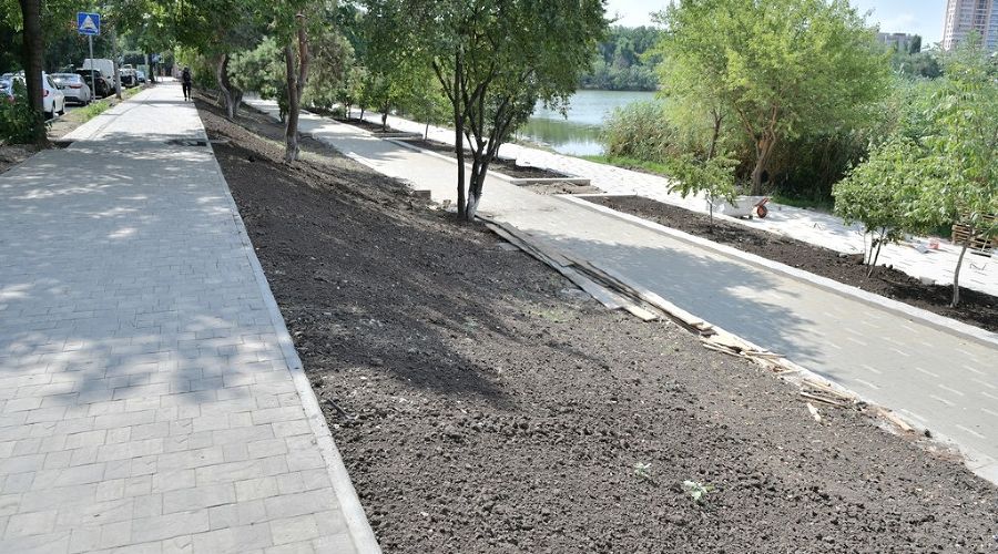  © Фото пресс-службы администрации Краснодара