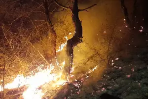  &copy;&nbsp;Фото из инстаграма главы МБУ ПАСС &laquo;Служба спасения&raquo; Новороссийска Алексея Одерова, instagram.com/alekseioderov/