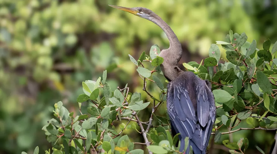  &copy;&nbsp;Фото Николая Марченко