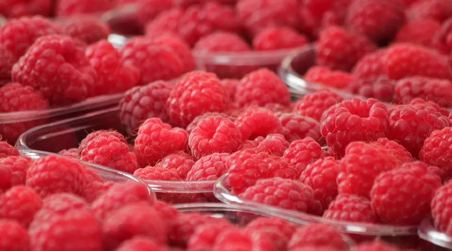 Малина &copy;&nbsp;https://pixabay.com/