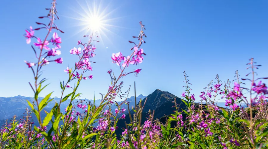  &copy;&nbsp;Фото пресс-службы курорта &laquo;Роза Хутор&raquo;