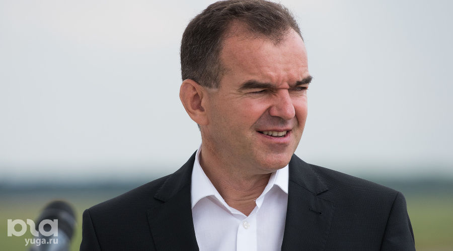  © Фото Елены Синеок, Юга.ру