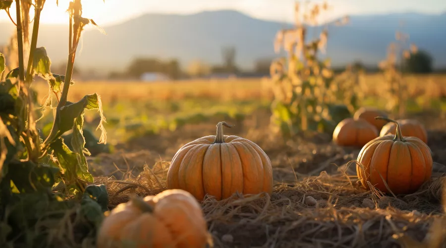  &copy;&nbsp;Фото пользователя freepik с сайта freepik.com