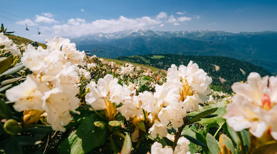  &copy;&nbsp;Фото пресс-службы курорта &laquo;Роза Хутор&raquo;