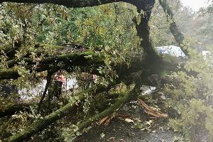  © Фото пресс-службы Упрдор «Черноморье»