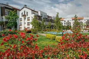  &copy;&nbsp;Фото предоставлено ГК &laquo;Имеритинский&raquo;