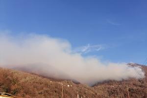  &copy;&nbsp;Фото пресс-службы Сочинского нацпарка