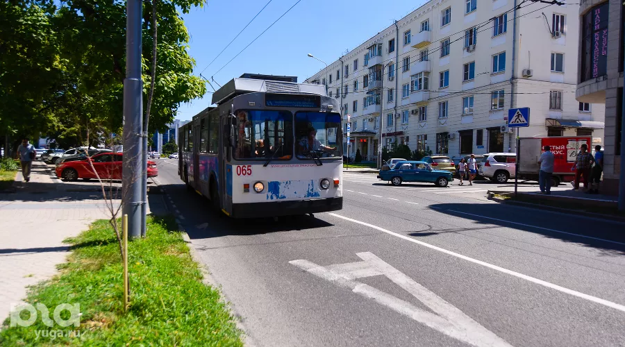  &copy;&nbsp;Фото Елены Синеок, Юга.ру