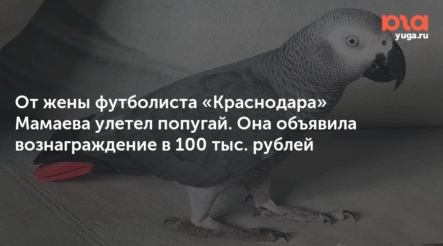 Косметикалық ұйымдастырушы стенд