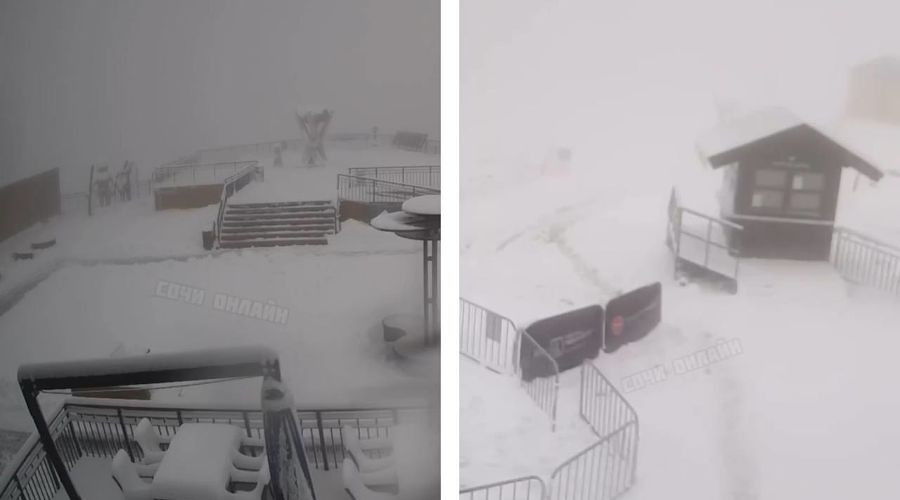  © Коллаж из скриншотов видео из телеграм-канала «Сочи Онлайн»