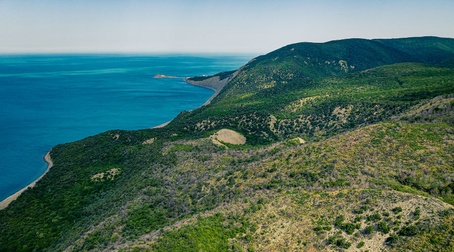  © Фото Антона Быкова, Юга.ру