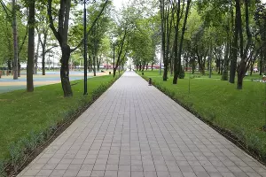 Сквер Молодежный в Краснодаре &copy;&nbsp;Фото пресс-службы администрации Краснодара