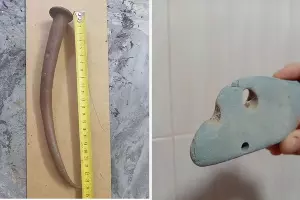  &copy;&nbsp;Коллаж из скриншотов фото с сайта Авито