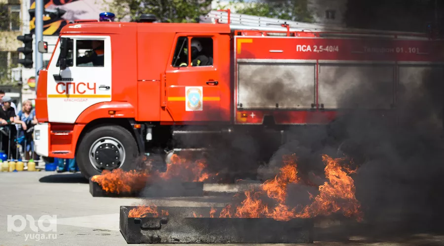  &copy;&nbsp;Фото Елены Синеок, Юга.ру