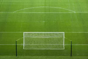  &copy;&nbsp;Фото Елены Синеок, Юга.ру