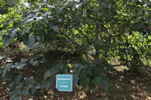  &copy;&nbsp;Фото пресс-службы сочинского нацпарка