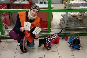  &copy;&nbsp;Фото предоставлено пресс-службой торговой сети &laquo;Пятёрочка&raquo;