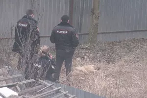  &copy;&nbsp;Фото очевидца