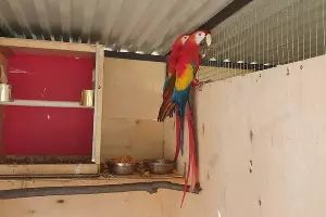  &copy;&nbsp;Фото для Юга.ру