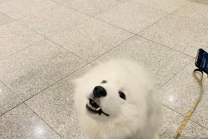  © Фото со страницы facebook.com/ohetrye