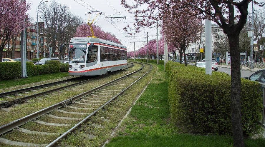  © Фото Карины Сардарян, пресс-служба администрации Краснодара