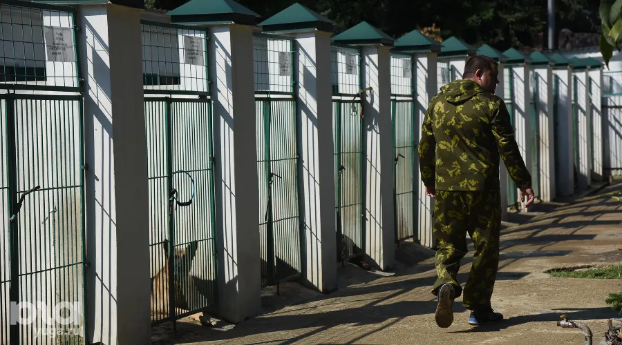  &copy;&nbsp;Фото Елены Синеок, Юга.ру