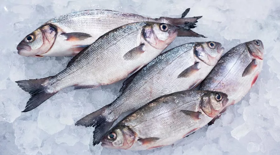 рыба &copy;&nbsp;Изображение сгенерировано нейросетью Gigachat