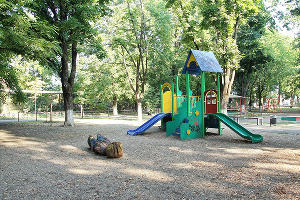  © Фото пресс-службы администрации Краснодара