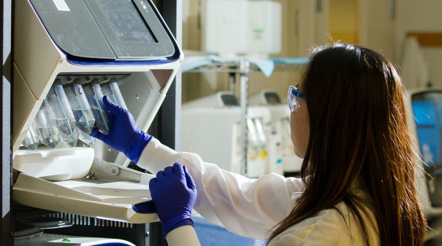  © Фото National Cancer Institute с сайта unsplash.com