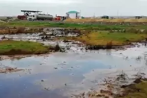  &copy;&nbsp;Скриншот из видео на странице instagram.com/ulica_kaminskogo