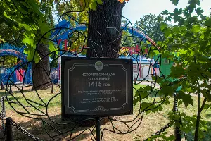  &copy;&nbsp;Фото Дмитрия Пославского, Юга.ру