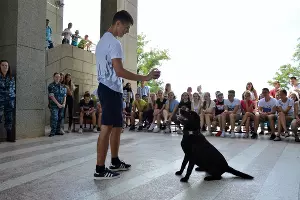  &copy;&nbsp;Фото пресс-службы СУ СК России по Краснодарскому краю