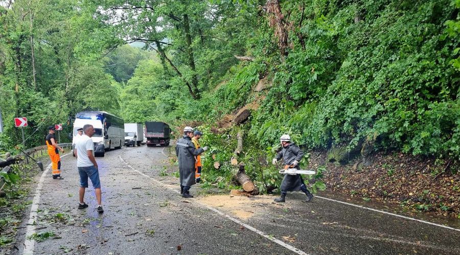  &copy;&nbsp;Фото пресс-службы Упрдор &laquo;Черноморье&raquo;
