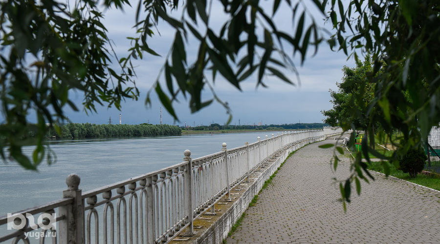  © Фото Елены Синеок, Юга.ру