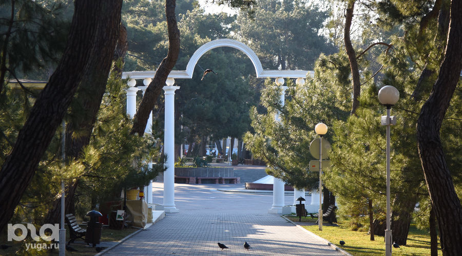  © Фото Елены Синеок, Юга.ру