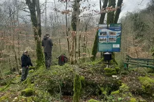  &copy;&nbsp;Фото пресс-службы админстрации Сочи