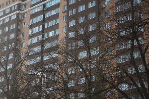  © Фото Елены Синеок, Юга.ру