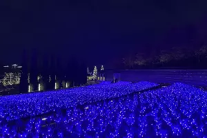  &copy;&nbsp;Фото Олеси Шубиной, Юга.ру