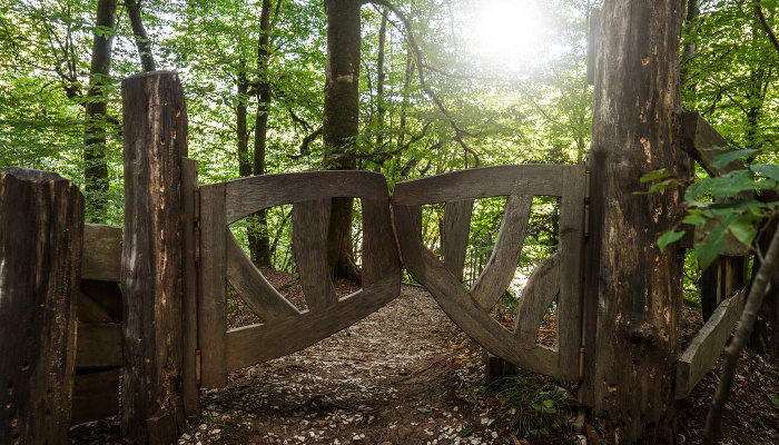 Незаконные сборы денег, продажи туров, строительство и вырубка леса. Генпрокуратура выявила нарушения на 3 млрд рублей в Сочинском нацпарке и Кавказском заповеднике