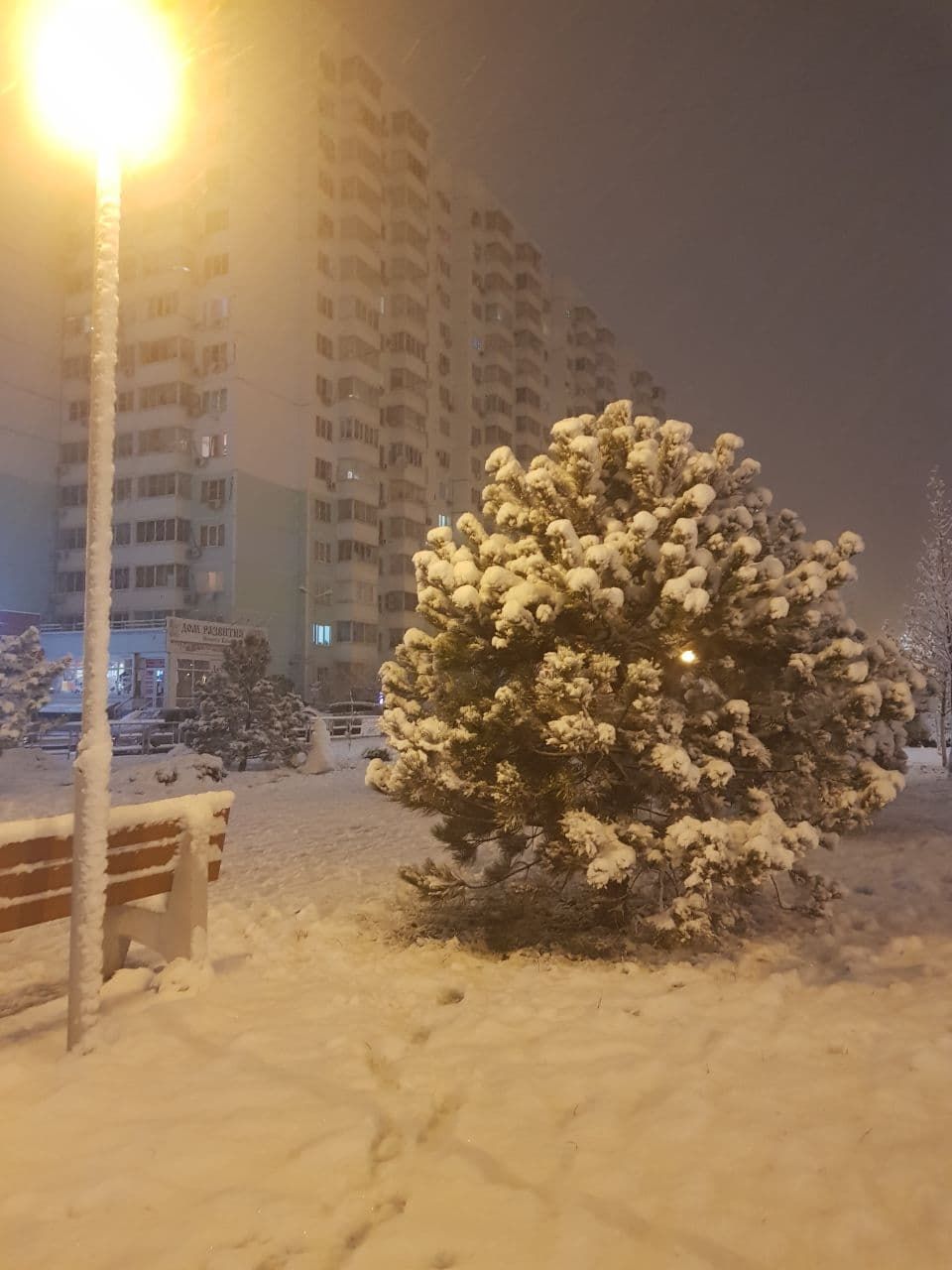 Сегодня снег вечером будет. Снегопад в Краснодаре. Заснеженный Краснодар. Краснодар в снегу ночью. Снежный Краснодар ночью.