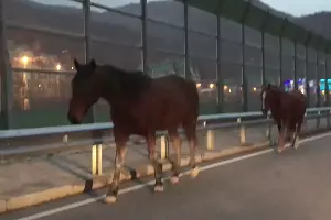  &copy;&nbsp;Скриншот видео из канала youtube.com/channel/UCQIS2GgWQspJDWT2LnPec9Q