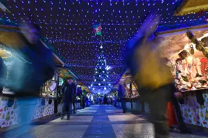  &copy;&nbsp;Фото Елены Синеок, Юга.ру