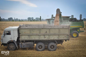 Уборка урожая &copy;&nbsp;Елена Синеок. ЮГА.ру