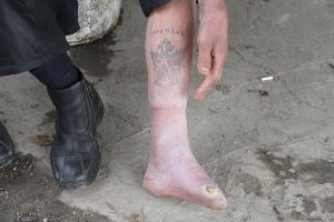  © Фото Заиры Гамидовой, Юга.ру