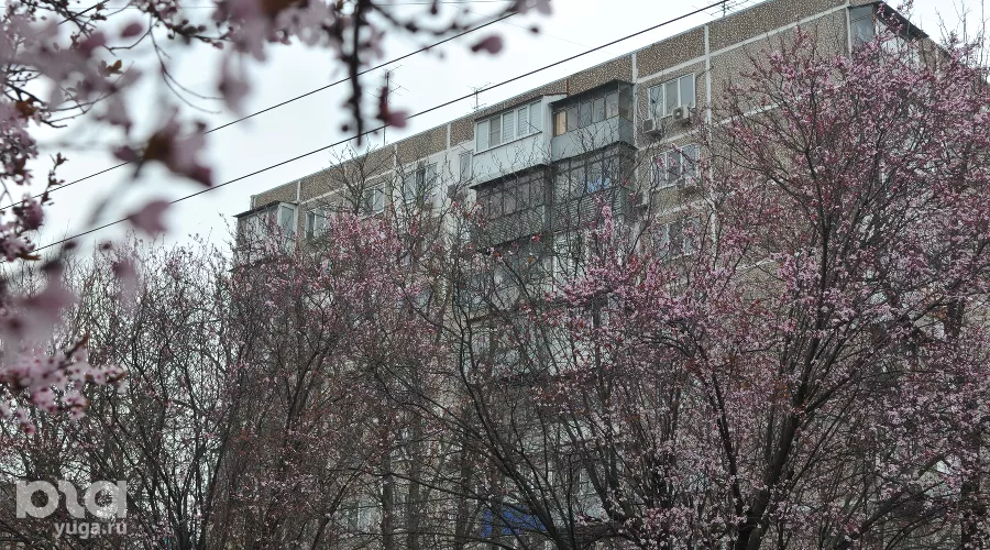  &copy;&nbsp;Фото Марины Солошко, Юга.ру