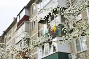  &copy;&nbsp;Фото Марины Солошко, Юга.ру